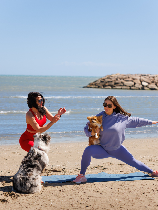 Séance collective de Doga en plein air