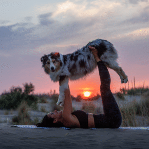 Module 2 – Vos premiers flows ensemble