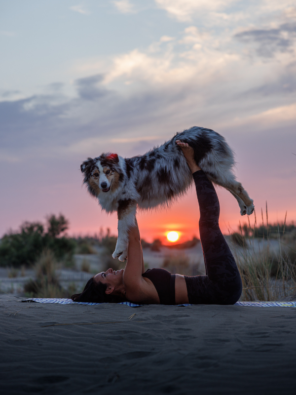 Module 2 – Vos premiers flows ensemble