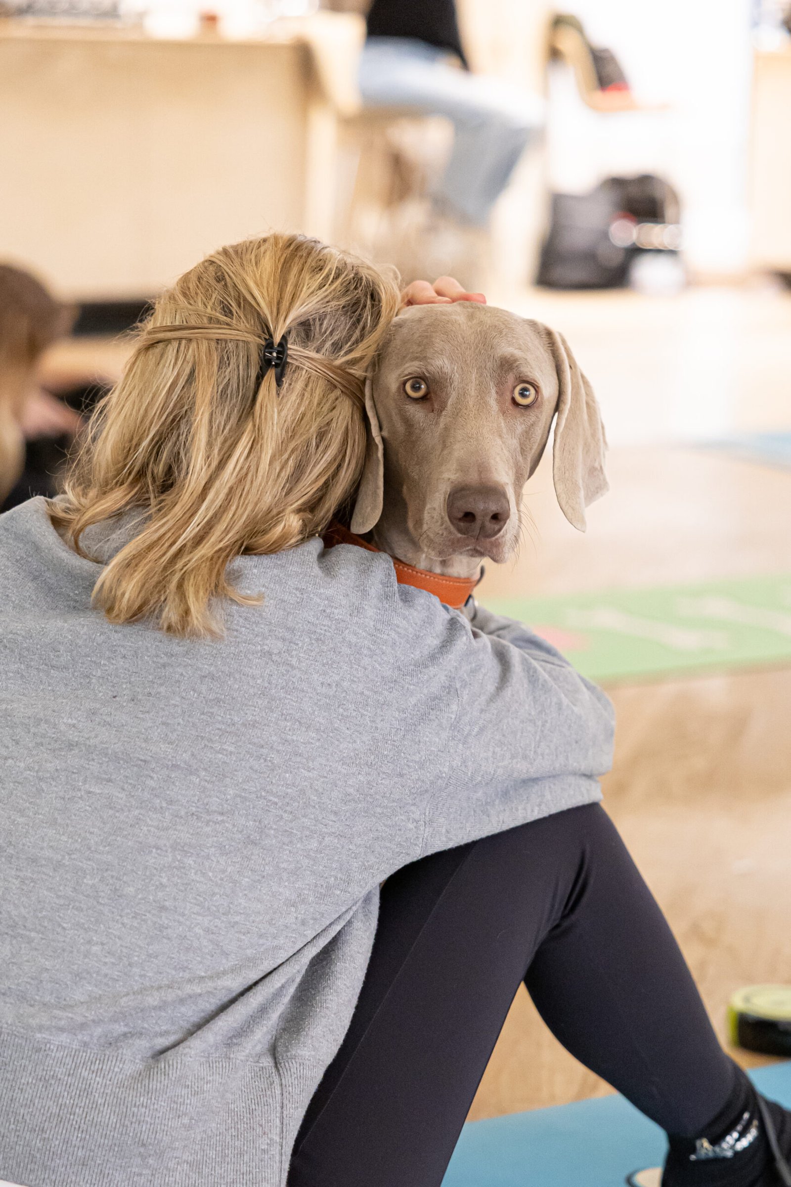 Maîtresse et chien pendant une séance de Doga