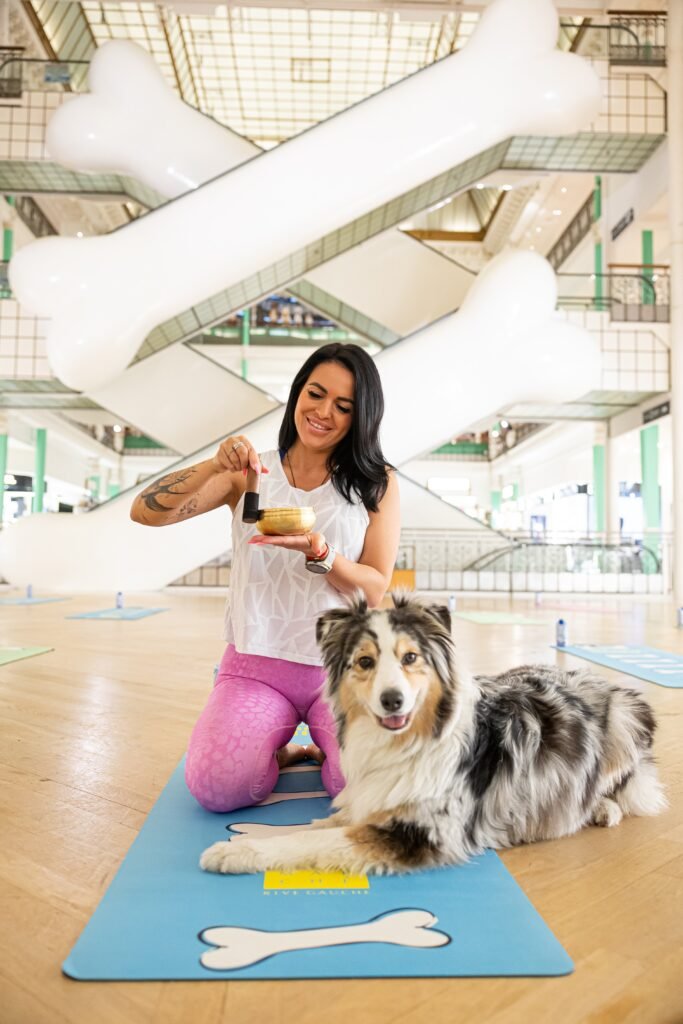 Pack Coach en Doga